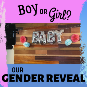 Gender Reveal Song title image